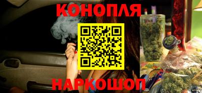PSILOCYBIN Заводоуковск