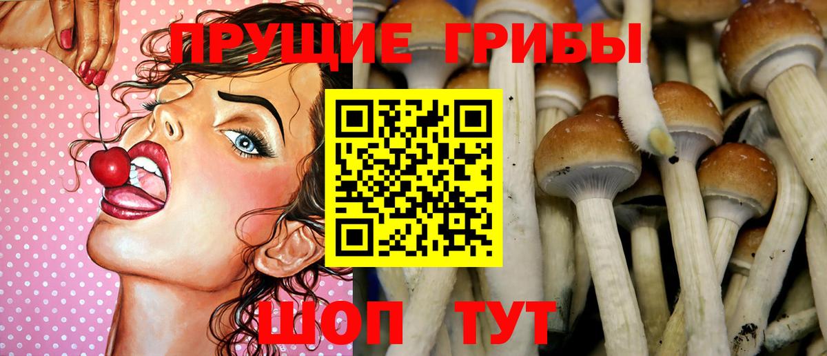 Галлюциногенные грибы Magic Shrooms Люберцы